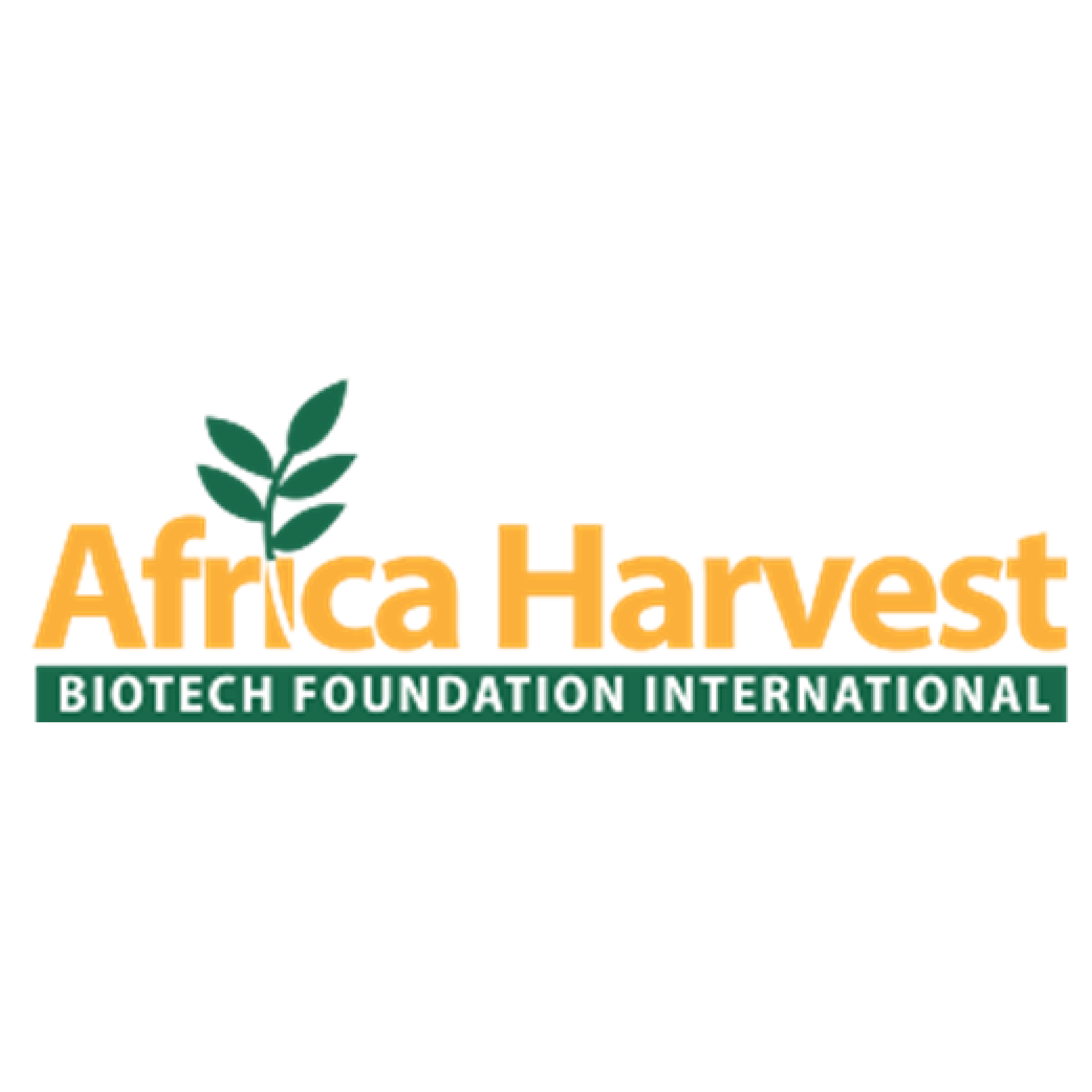 Africa Harvest Biotech Foundation International