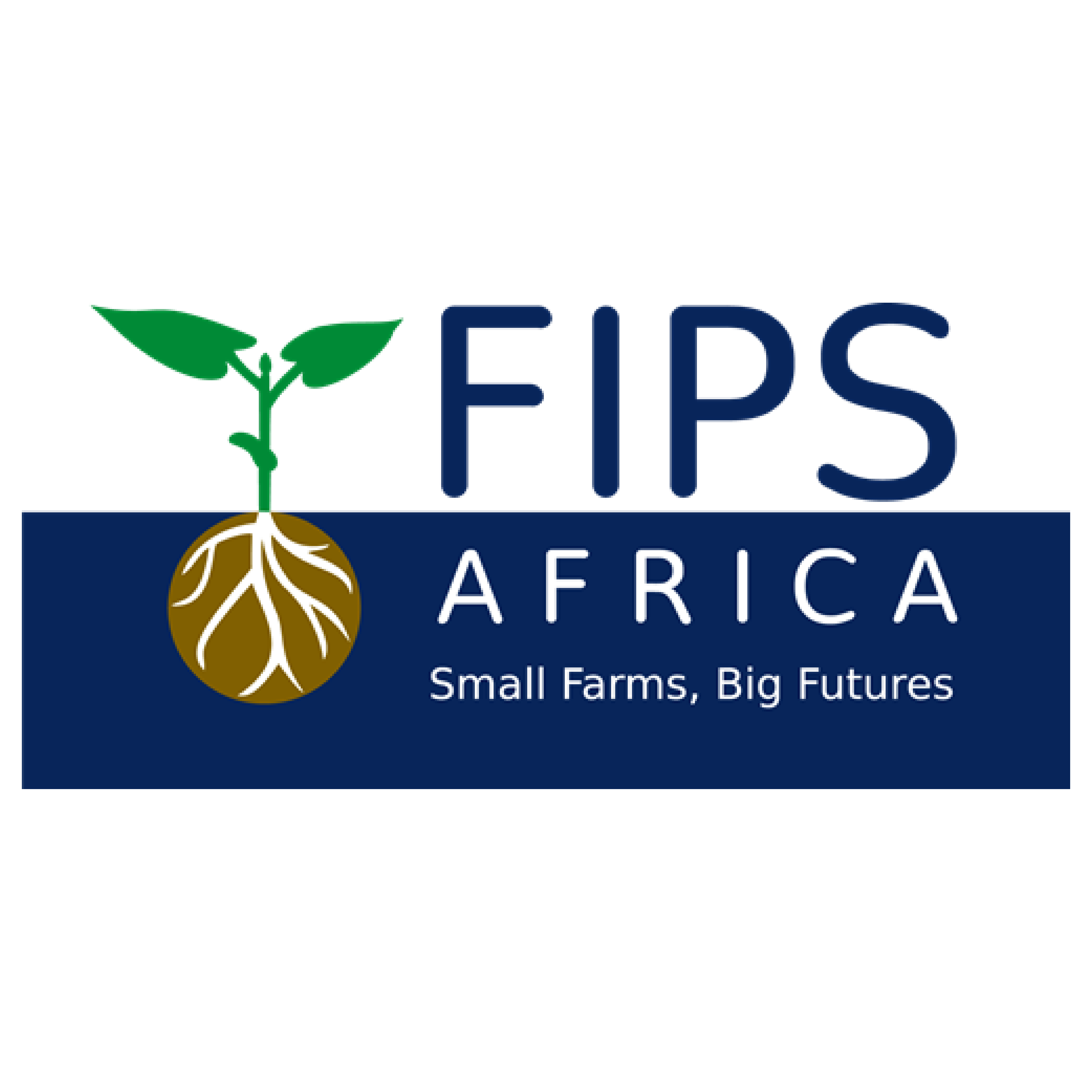 Farm Input Promotions Africa LTD (FIPS-Africa)
